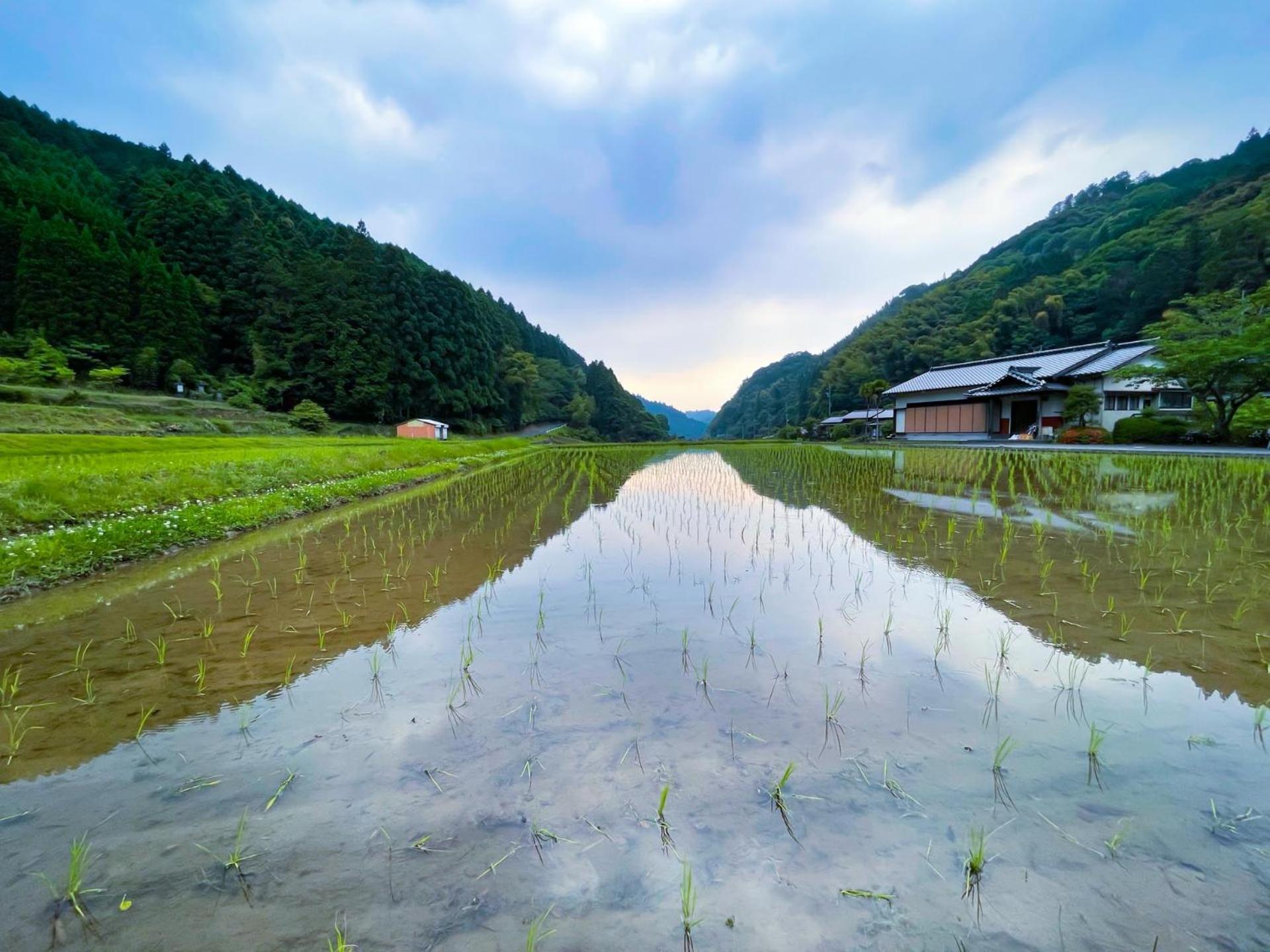 Ukiha Kojio No Akari Villa Bagian luar foto